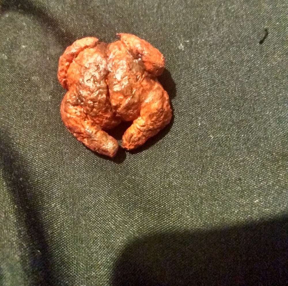 1 Smoked Miniature Toy Turkey